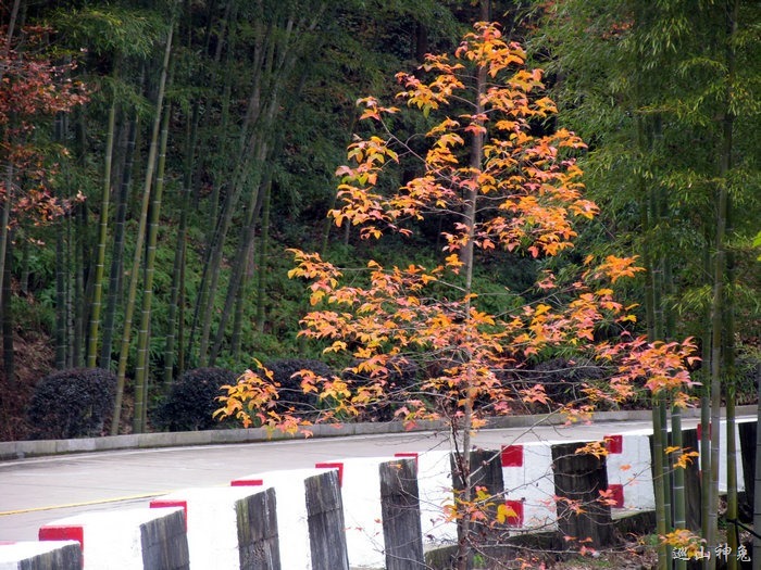 横跨三县市，骑行东瓯第一山（20121209）